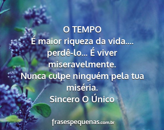 Sincero O Único - O TEMPO É maior riqueza da vida.... perdê-lo......