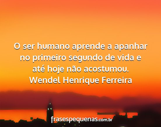 Wendel Henrique Ferreira - O ser humano aprende a apanhar no primeiro...