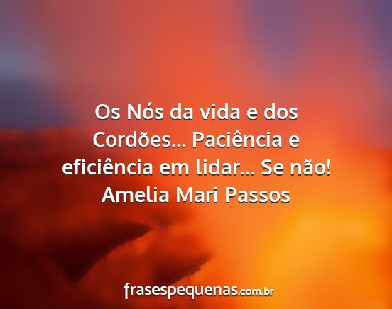 Amelia Mari Passos - Os Nós da vida e dos Cordões... Paciência e...