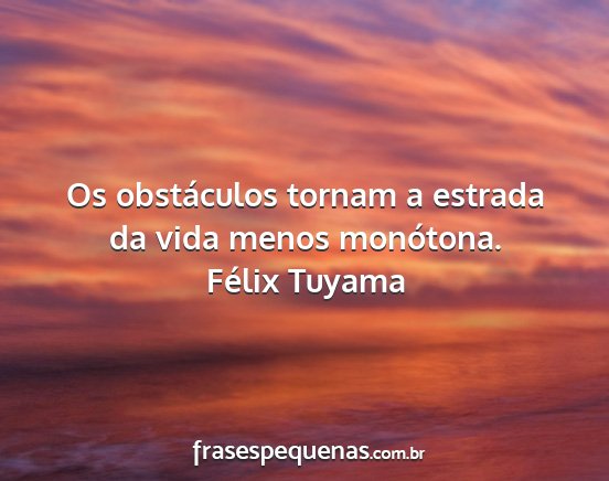 Félix Tuyama - Os obstáculos tornam a estrada da vida menos...