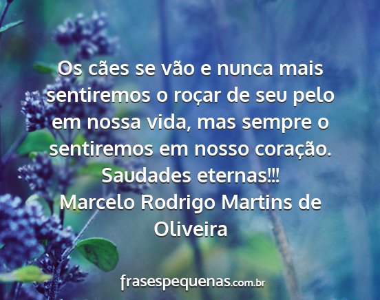 Marcelo Rodrigo Martins de Oliveira - Os cães se vão e nunca mais sentiremos o roçar...