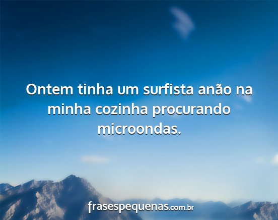 Ontem tinha um surfista anão na minha cozinha...