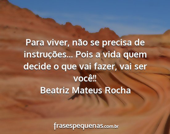 Beatriz Mateus Rocha - Para viver, não se precisa de instruções......