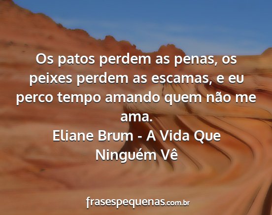 Eliane Brum - A Vida Que Ninguém Vê - Os patos perdem as penas, os peixes perdem as...