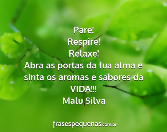 Malu Silva - Pare! Respire! Relaxe! Abra as portas da tua alma...