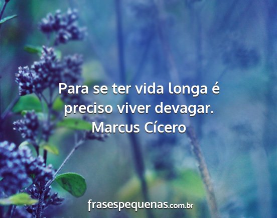 Marcus Cícero - Para se ter vida longa é preciso viver devagar....