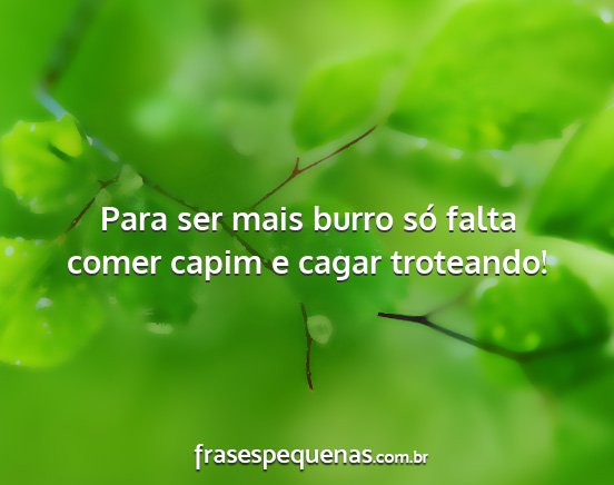 Para ser mais burro só falta comer capim e cagar...