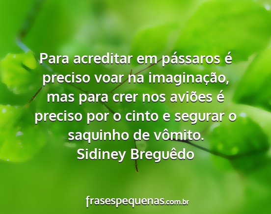 Sidiney Breguêdo - Para acreditar em pássaros é preciso voar na...