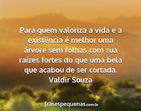 Valdir Souza - Para quem valoriza a vida e a existência é...