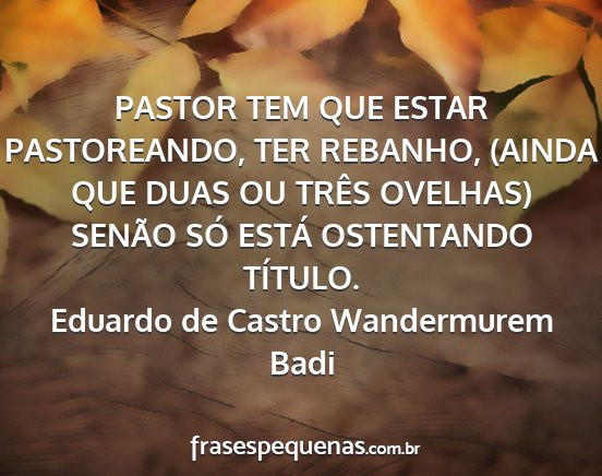 Eduardo de Castro Wandermurem Badi - PASTOR TEM QUE ESTAR PASTOREANDO, TER REBANHO,...