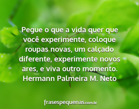Hermann Palmeira M. Neto - Pegue o que a vida quer que você experimente,...