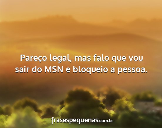 Pareço legal, mas falo que vou sair do MSN e...