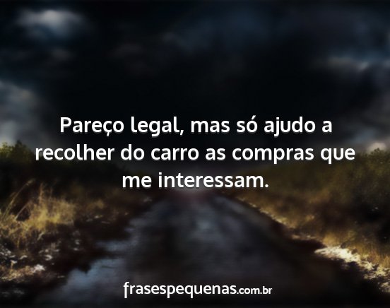 Pareço legal, mas só ajudo a recolher do carro...