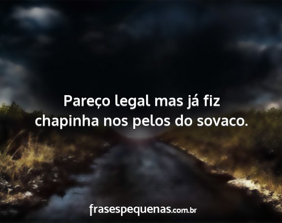 Pareço legal mas já fiz chapinha nos pelos do...
