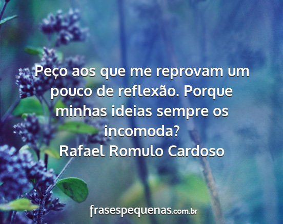 Rafael Romulo Cardoso - Peço aos que me reprovam um pouco de reflexão....