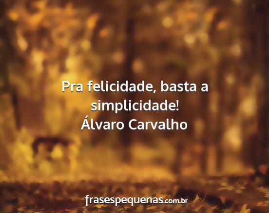 Álvaro Carvalho - Pra felicidade, basta a simplicidade!...