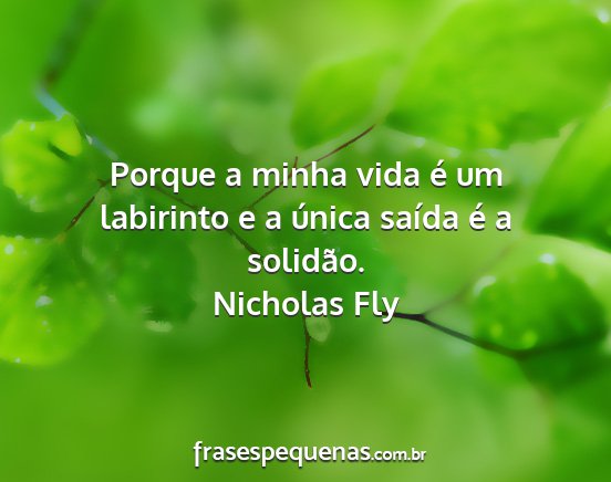 Nicholas Fly - Porque a minha vida é um labirinto e a única...