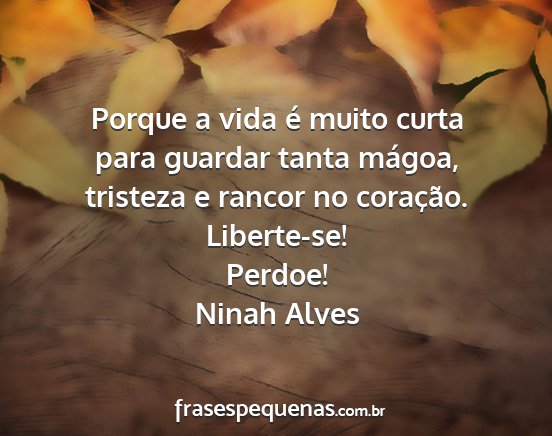 Ninah Alves - Porque a vida é muito curta para guardar tanta...