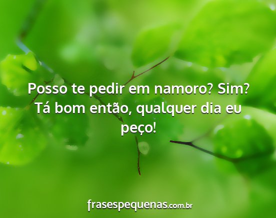 Posso te pedir em namoro? Sim? Tá bom então,...