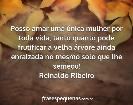 Reinaldo Ribeiro - Posso amar uma única mulher por toda vida, tanto...