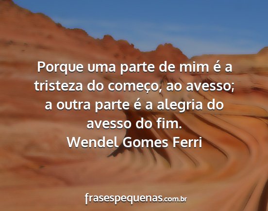 Wendel Gomes Ferri - Porque uma parte de mim é a tristeza do começo,...