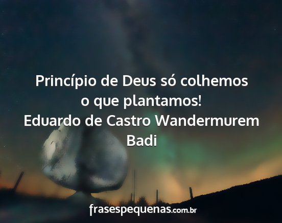 Eduardo de Castro Wandermurem Badi - Princípio de Deus só colhemos o que plantamos!...