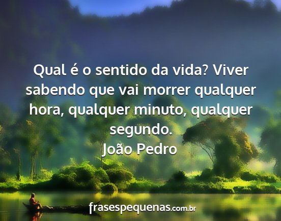 João Pedro - Qual é o sentido da vida? Viver sabendo que vai...