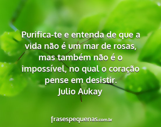 Julio Aukay - Purifica-te e entenda de que a vida não é um...
