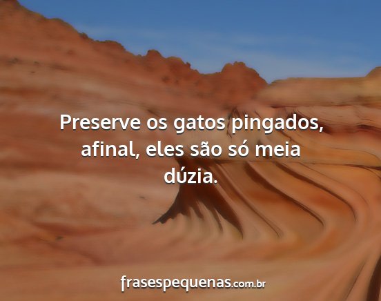 Preserve os gatos pingados, afinal, eles são só...