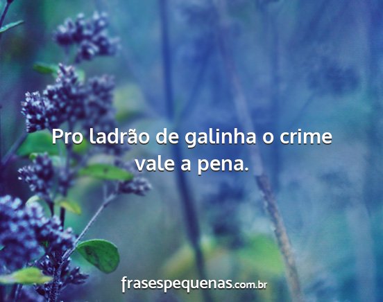 Pro ladrão de galinha o crime vale a pena....