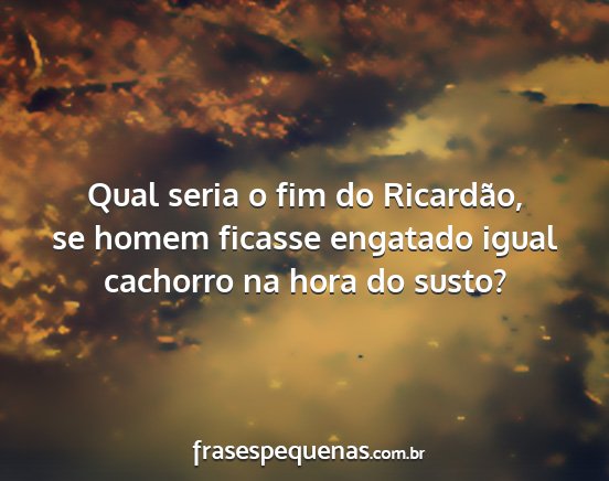 Qual seria o fim do Ricardão, se homem ficasse...