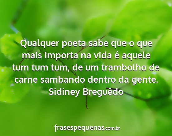 Sidiney Breguêdo - Qualquer poeta sabe que o que mais importa na...