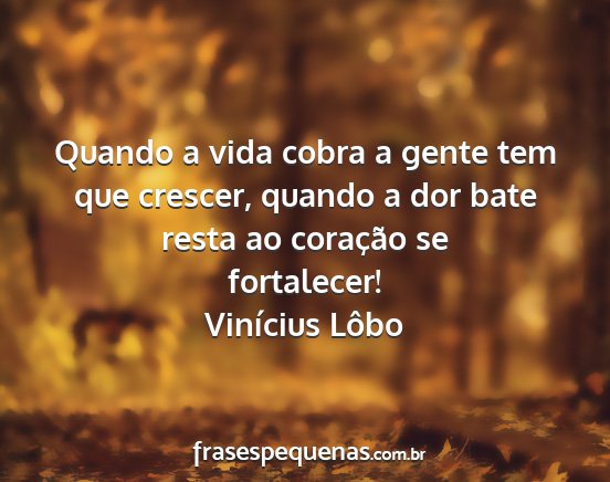 Vinícius Lôbo - Quando a vida cobra a gente tem que crescer,...