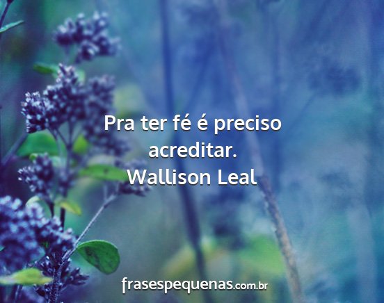 Wallison Leal - Pra ter fé é preciso acreditar....