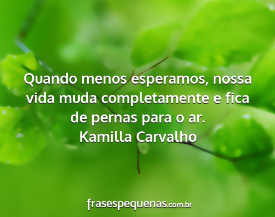Kamilla Carvalho - Quando menos esperamos, nossa vida muda...