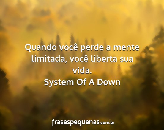 System Of A Down - Quando você perde a mente limitada, você...