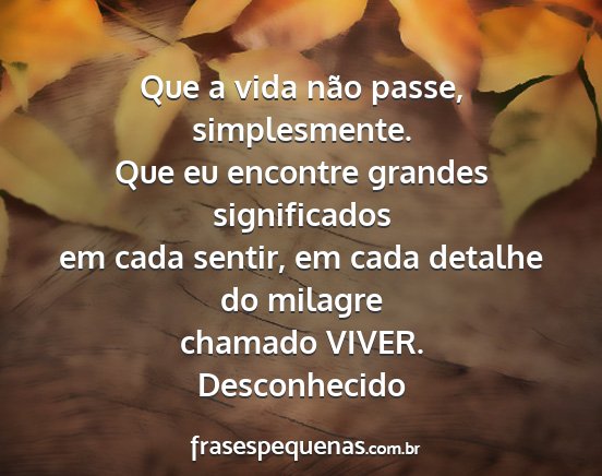 Desconhecido - Que a vida não passe, simplesmente. Que eu...