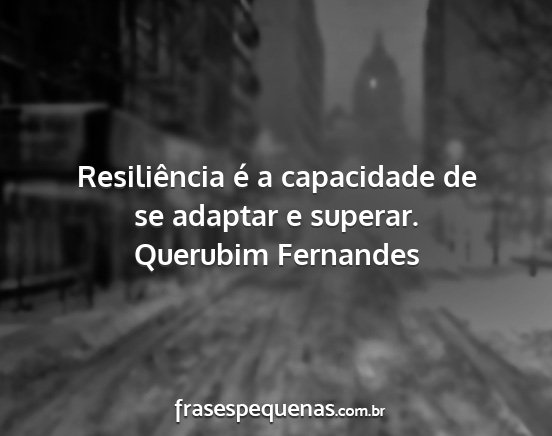 Querubim Fernandes - Resiliência é a capacidade de se adaptar e...