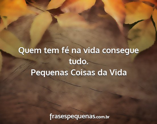 Pequenas Coisas da Vida - Quem tem fé na vida consegue tudo....