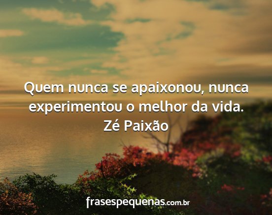 Zé Paixão - Quem nunca se apaixonou, nunca experimentou o...