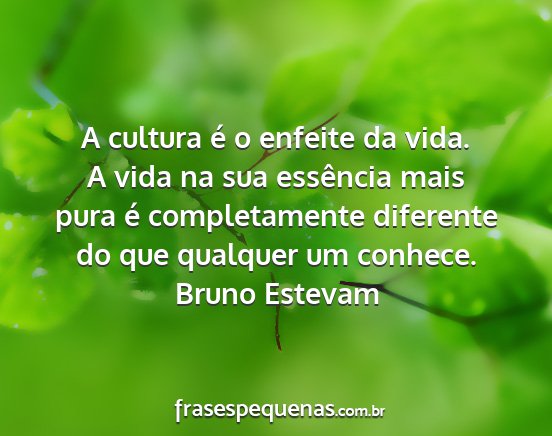 Bruno Estevam - A cultura é o enfeite da vida. A vida na sua...
