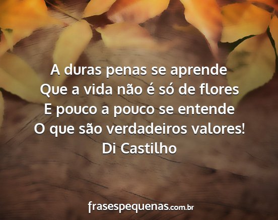 Di Castilho - A duras penas se aprende Que a vida não é só...