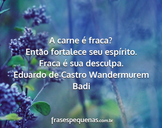 Eduardo de Castro Wandermurem Badi - A carne é fraca? Então fortalece seu espírito....