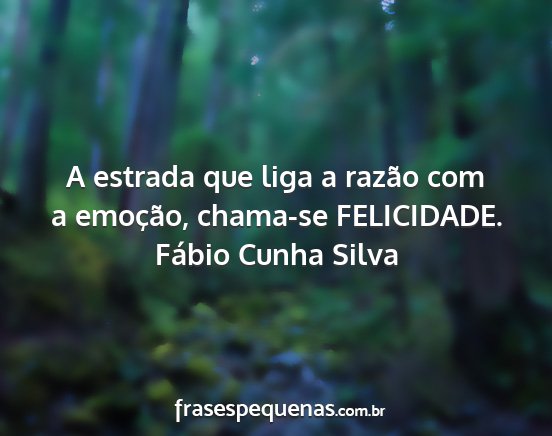 Fábio Cunha Silva - A estrada que liga a razão com a emoção,...
