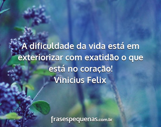 Vinicius Felix - A dificuldade da vida está em exteriorizar com...