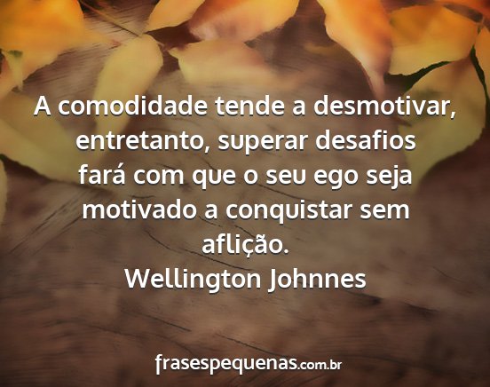 Wellington Johnnes - A comodidade tende a desmotivar, entretanto,...