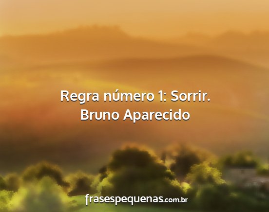 Bruno Aparecido - Regra número 1: Sorrir....