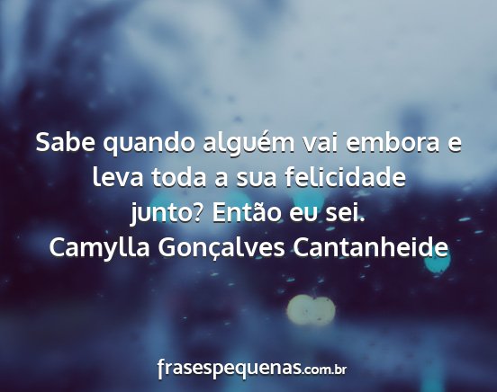 Camylla Gonçalves Cantanheide - Sabe quando alguém vai embora e leva toda a sua...
