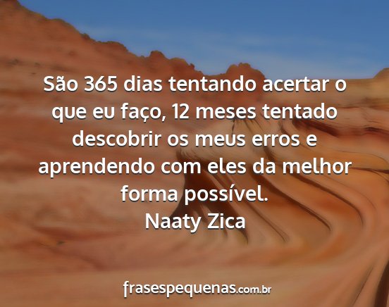 Naaty Zica - São 365 dias tentando acertar o que eu faço, 12...