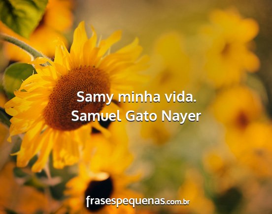 Samuel Gato Nayer - Samy minha vida....